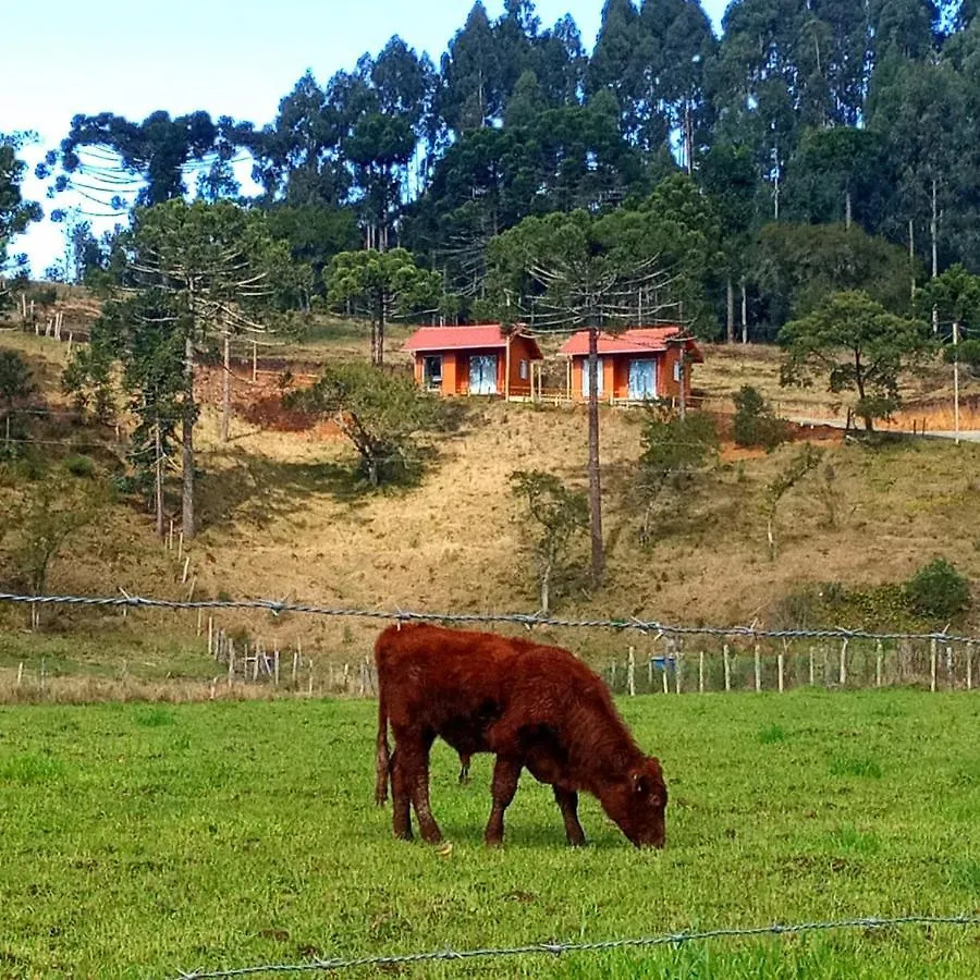 Cabanas Observatorio contacts